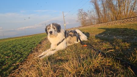 Bubi Direktvermittlung 