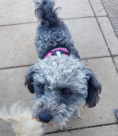 Media Direktvermittlung 