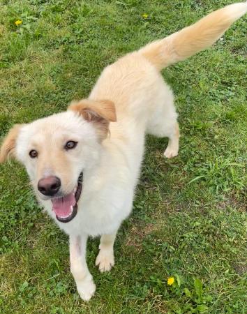 Elly Direktvermittlung 