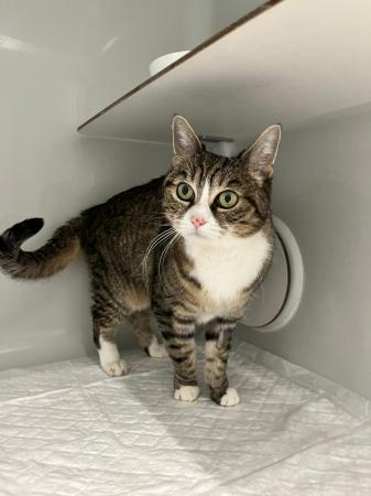 Trixie                            Wohnungshaltung