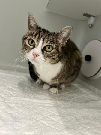 Trixie                            Wohnungshaltung