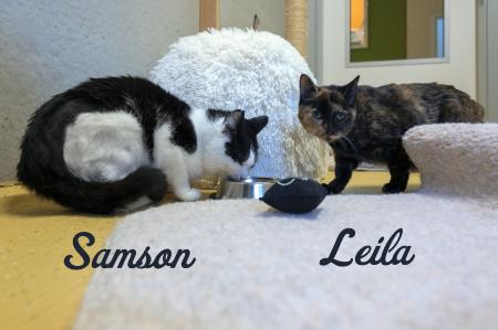 Leila & Samson