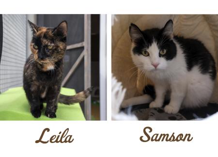 Leila & Samson
