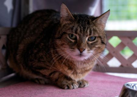 Wilma