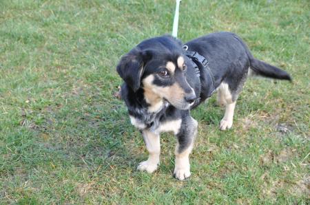 Tino Direktvermittlung