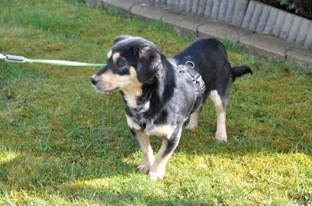 Tino Direktvermittlung