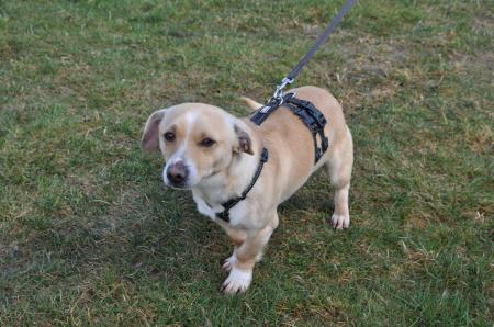 Arty Direktvermittlung