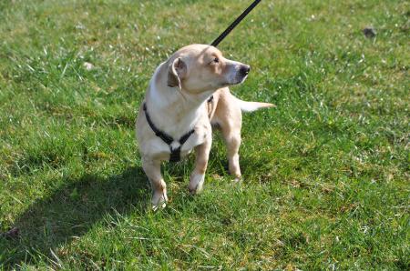 Arty Direktvermittlung