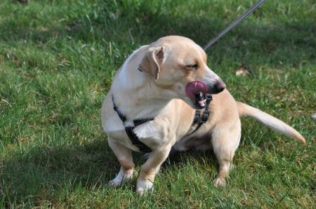 Arty Direktvermittlung