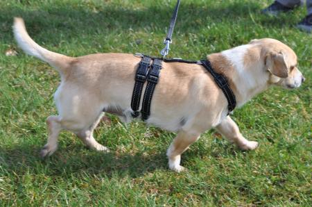 Arty Direktvermittlung