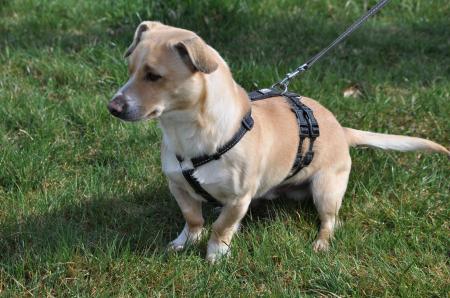 Arty Direktvermittlung