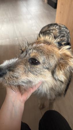 Pola Direktvermittlung 