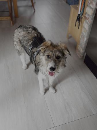 Pola Direktvermittlung 