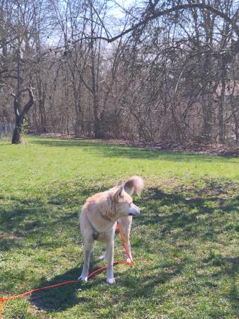 Polar Direktvermittlung 