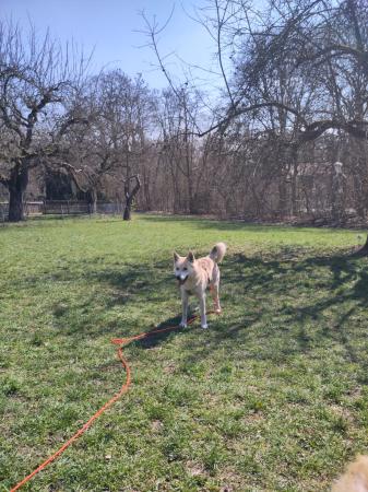 Polar Direktvermittlung 