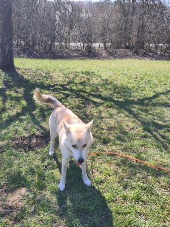 Polar Direktvermittlung 