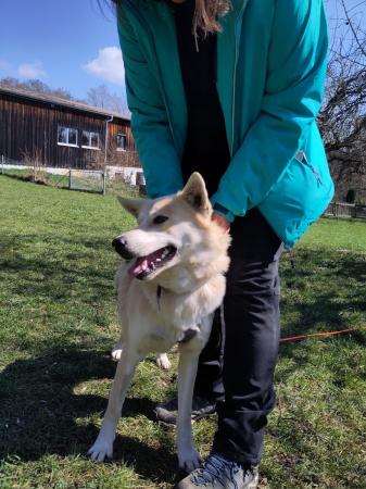 Polar Direktvermittlung 