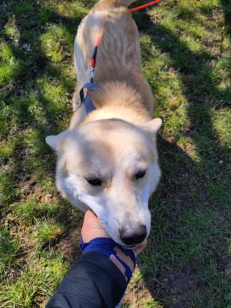 Polar Direktvermittlung 