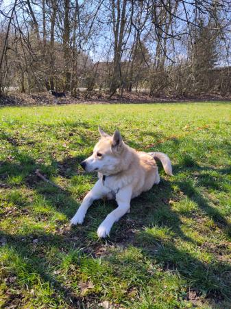 Polar Direktvermittlung 