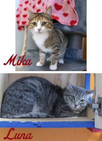 Mika & Luna
