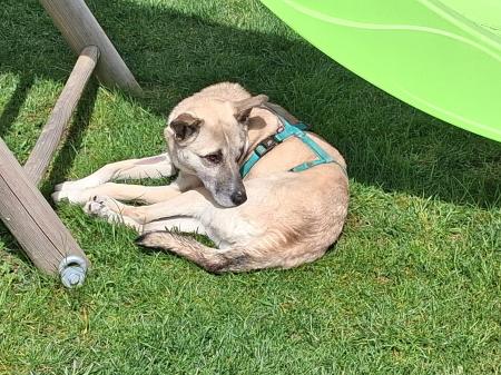 Tely Direktvermittlung 