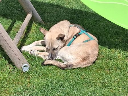 Tely Direktvermittlung 