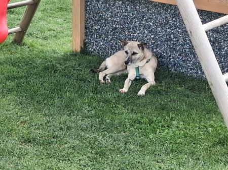 Tely Direktvermittlung 