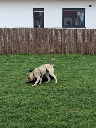 Tely Direktvermittlung 