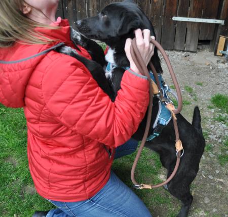 Luna Direktvermittlung