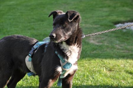 Luna Direktvermittlung