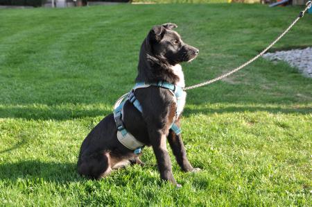 Luna Direktvermittlung