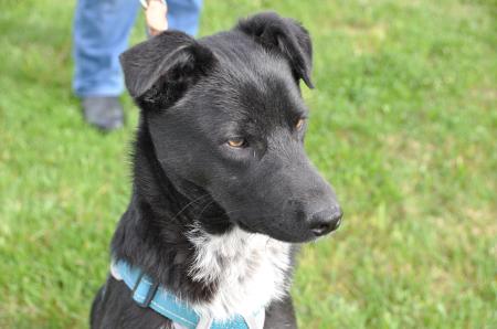 Luna Direktvermittlung