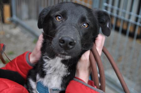 Luna Direktvermittlung