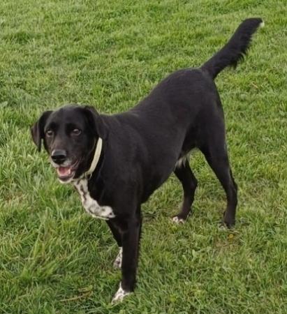 Kinga Direktvermittlung 