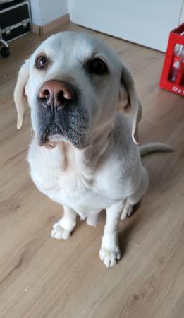 Sam