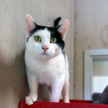 Mimi