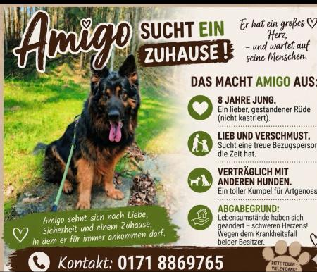 Amigo