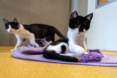 Lulu, Lotte, Lilly und Leana