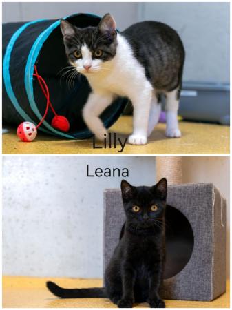 Lilly  & Leana