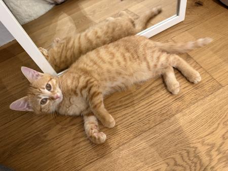 Sally & Filou