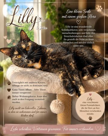 Lilly
