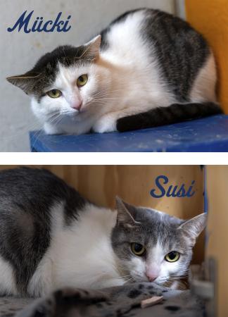 Susi und Mücki