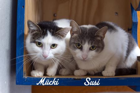 Susi und Mücki