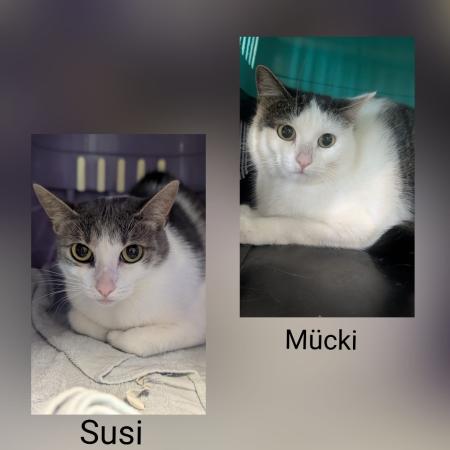 Susi und Mücki