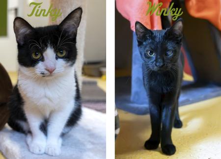 Tinky und Winky