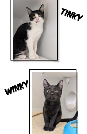 Tinky und Winky