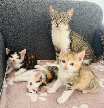 Mama Lisa & Leni, Lilly und Luxy