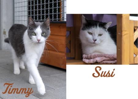 Susi und Timmy