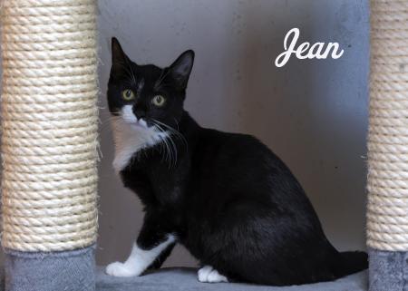 Jean, Jana, Jasper und Juli 
