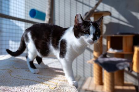 Jean, Jana, Jasper und Julialle reserviert